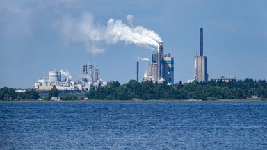 Svenska skogsbolag faller efter Mondis vinstvarning