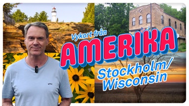 Vad säger stockholmarna om presidentvalet?