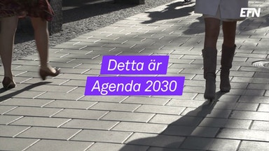 En inblick i Agenda 2030
