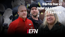 Köttbrist i svenska butiker fortsätter i flera år