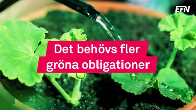 Sverige är bäst på gröna obligationer