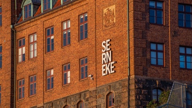 Serneke Sverige ansöker om konkurs – Doxa rasar