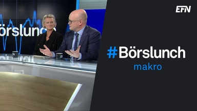 Chefsekonomerna ser många mörka moln