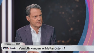 Blev 2024 ett mardrömsår?