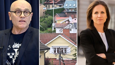 Expert: Nya lättnader kan ge högre priser