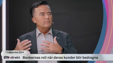 Kriminalkommissarien om bedrägerifall: ”Hundratals, kanske tusentals fall per år”