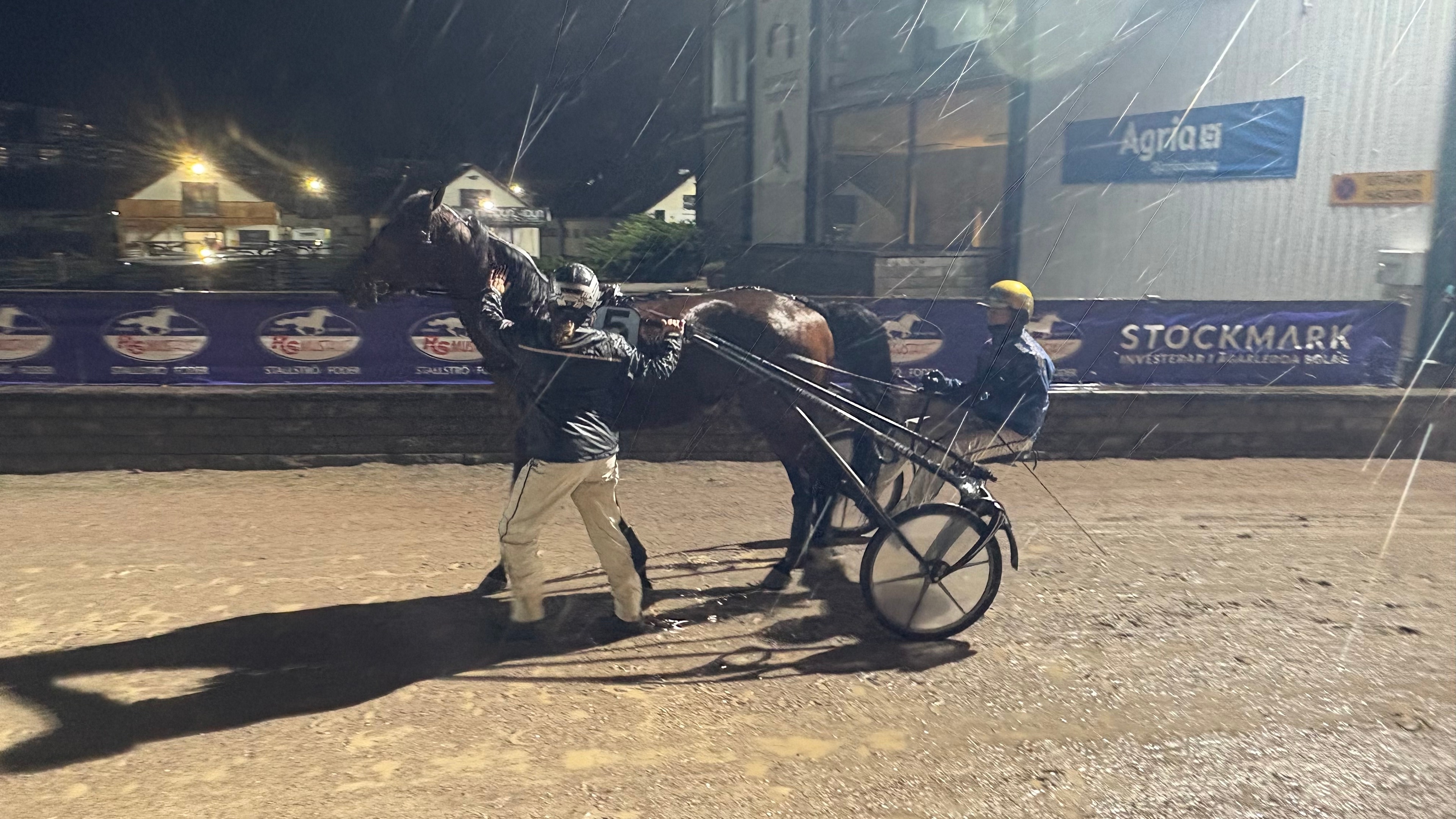 Stjärnan kvalade på Solvalla - "Jättefin"