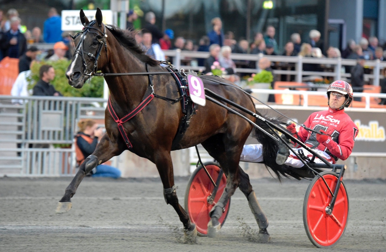 Dear Friend slog till på Vincennes - Foto: ALN