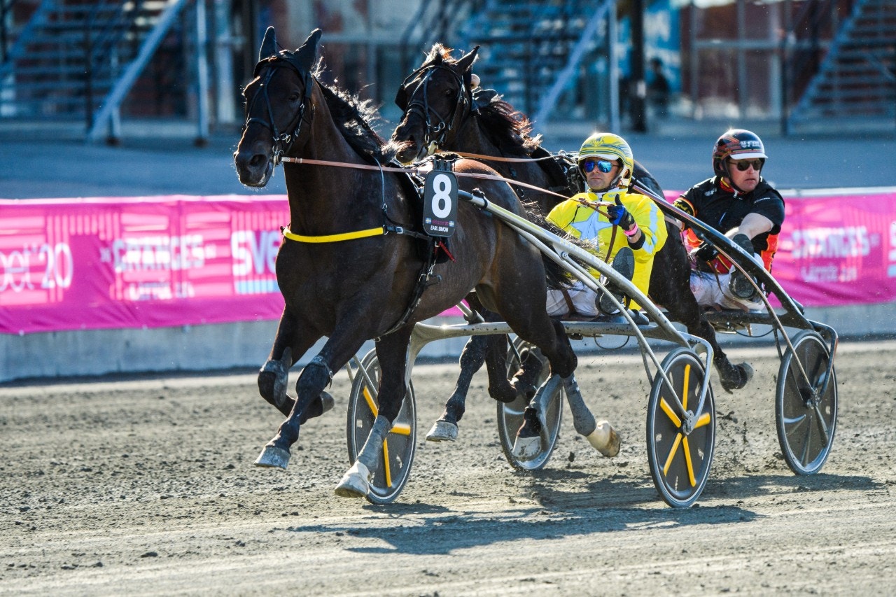 Earl Simon kommer starta i Prix René Ballière närmast. Foto: Simon Hastegård, Bildbyrån