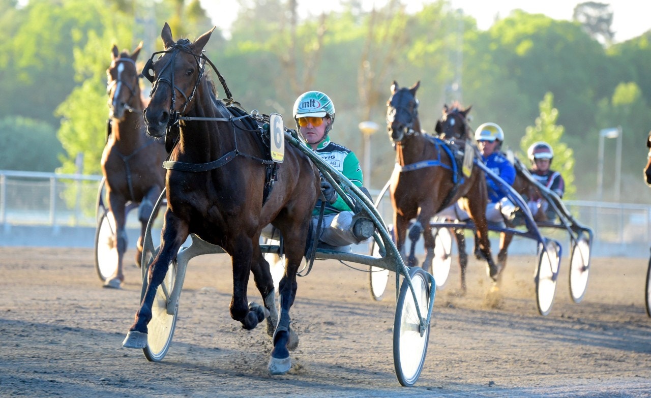 Tjacko Zaz går lätt undan i stayerloppet. Foto: Martin Langels, ALN