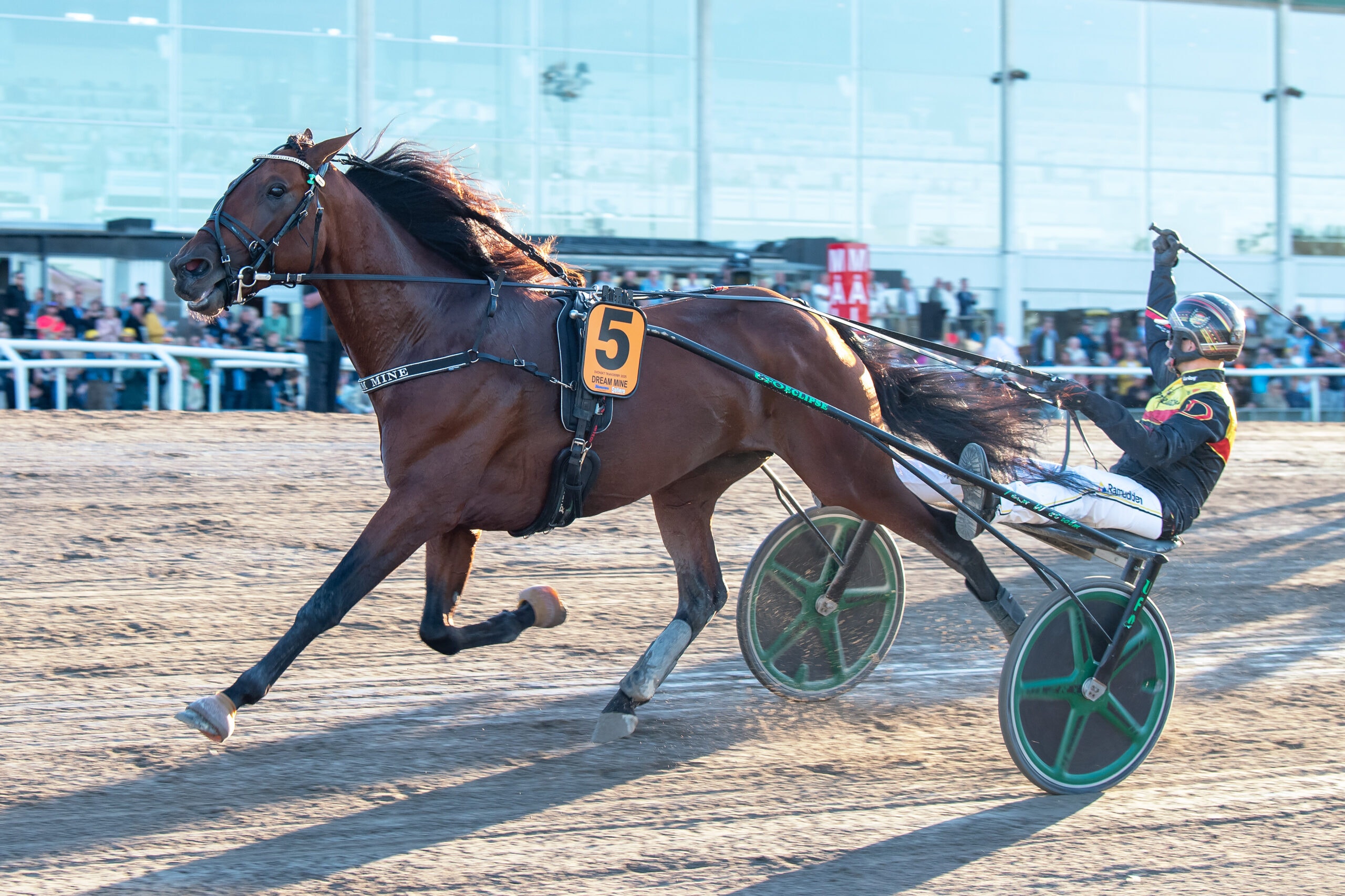 Dream Mine redo för årsdebut