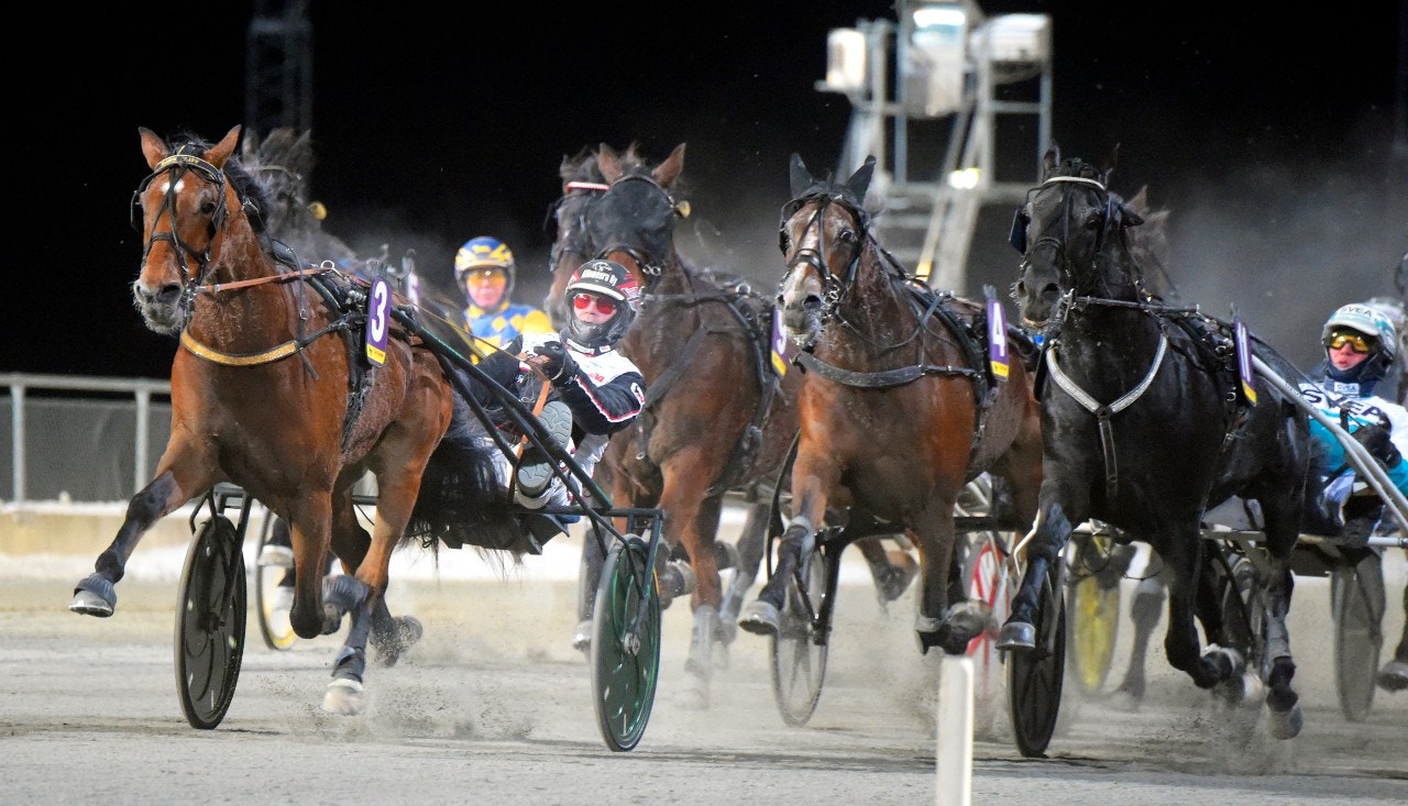 Hawk Cliff gjorde debut i Gulddivisionen - och plockade ned favoriten Sorbet. Foto: Martin Langels, ALN