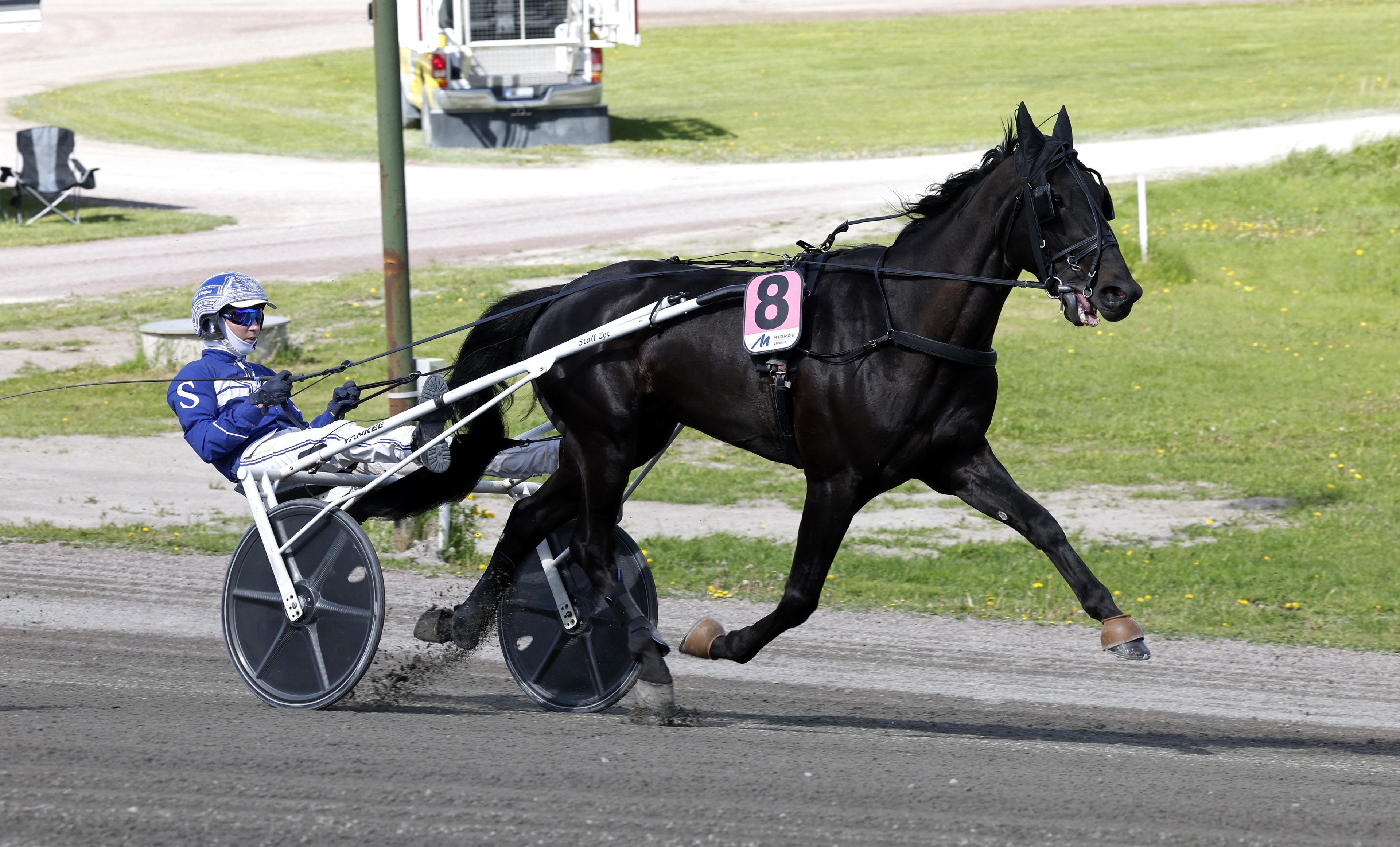 En svart häst i full galopp drar en travvagn med en kuskar i blå outfit. Hästen har startnummer 8 och spännet är på en asfalterad väg med gräsområden i bakgrunden.