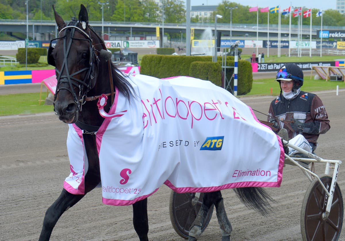 Don Fanucci Zet med Ploquin 