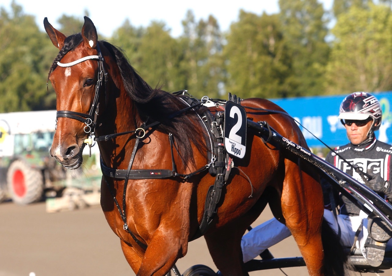 Darling Mearas startar i Armbro Flights i Kanada - Foto: ALN