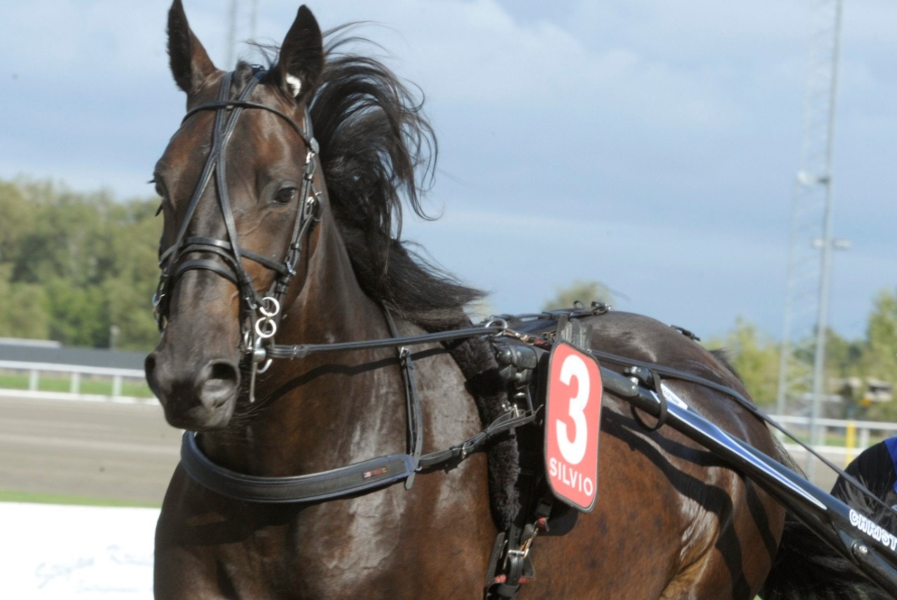 Åby 12 december: Ingo och Floyd går på knock