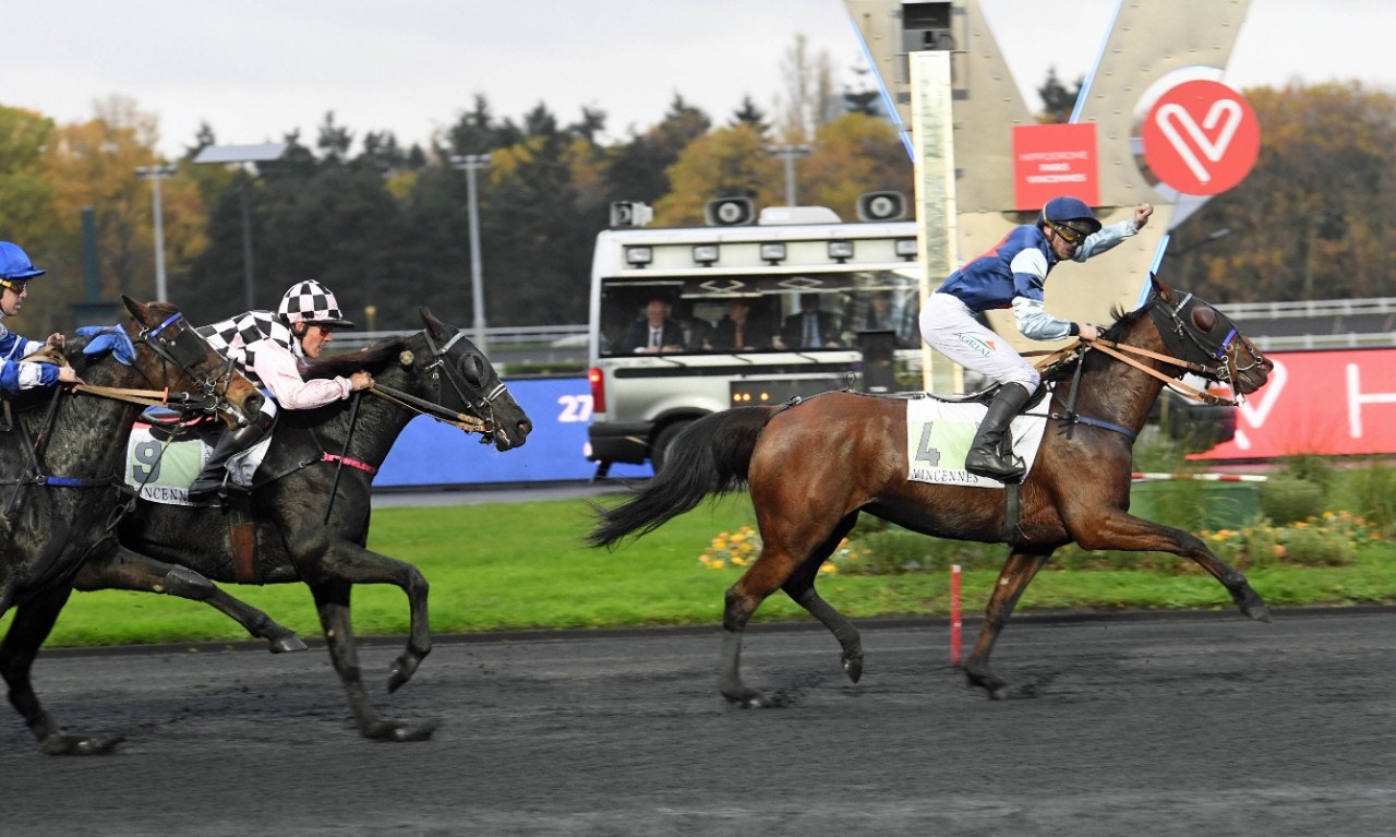 Toppinsats av Dynasty Péji