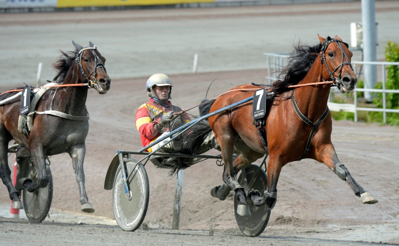 Readly Express har en talangfylld lillasyster i Fabulous Pellini. Foto: Martin Langels, ALN