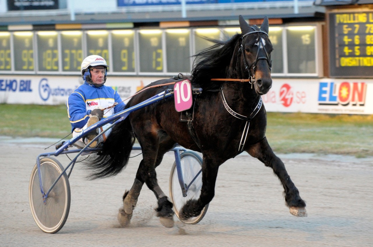 Tips Bergsåker 15 augusti: Laxfaks i comeback!