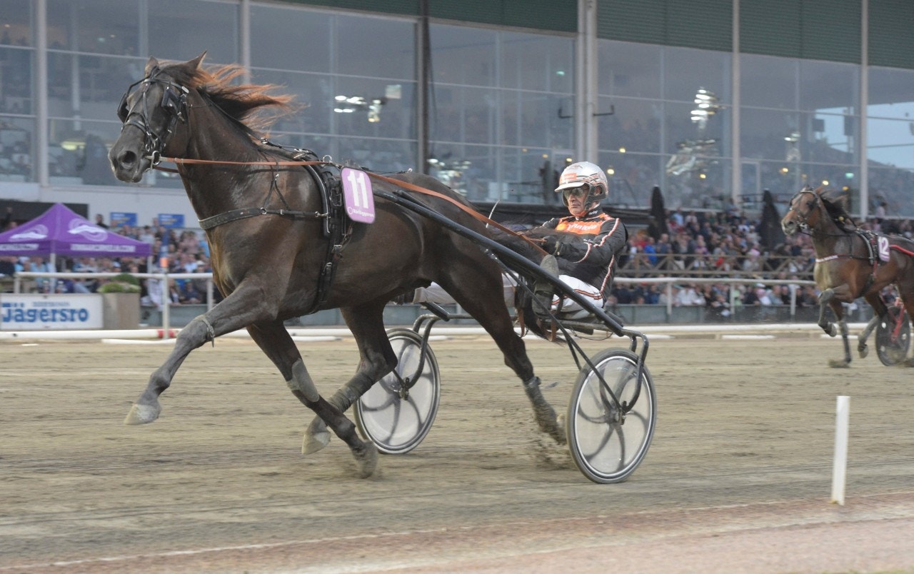 Tips Jägersro 21 augusti: Staro McMillan kvällens bästa vinnare!