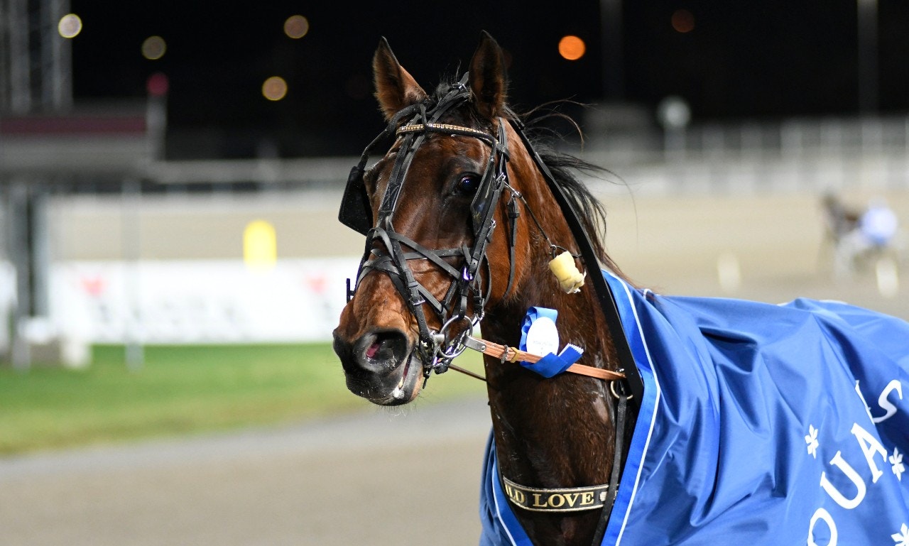 Ny succé för Wild Love - tog säker seger på Enghien