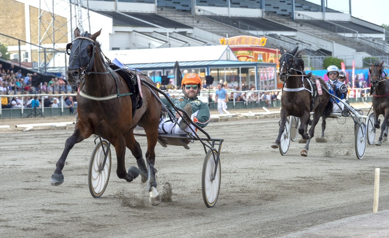 Kan man hoppas på spets och slut för Precious Lord i kväll? Foto: Tommy Andersson, ALN