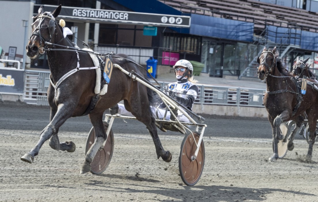 Vi tror på en formstark Choco Garline. Foto: Tommy Andersson, ALN