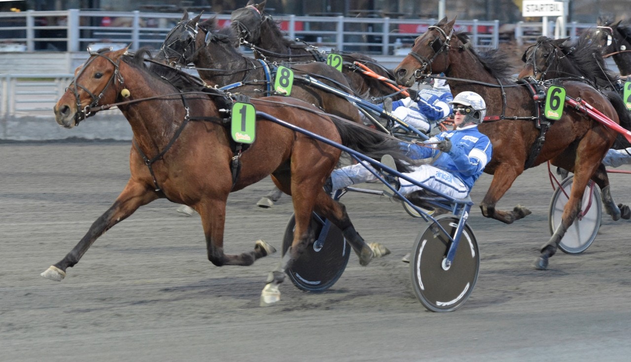 Arnie Express tog andra raka från spets på Solvalla. Foto: Leif Norberg, ALN