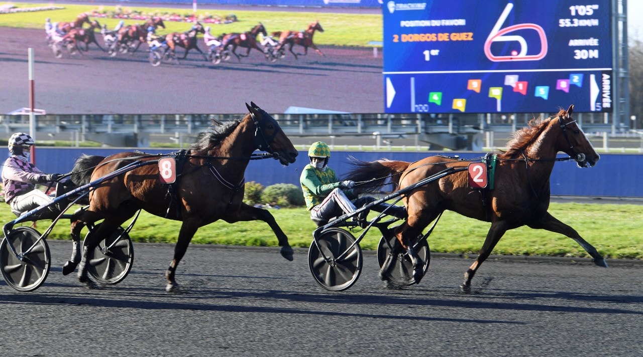 Jean-Michel Bazire håller dörren öppen för Elitloppet med Dorgos de Guez. Foto: Gerard Forni, Scoop Dyga