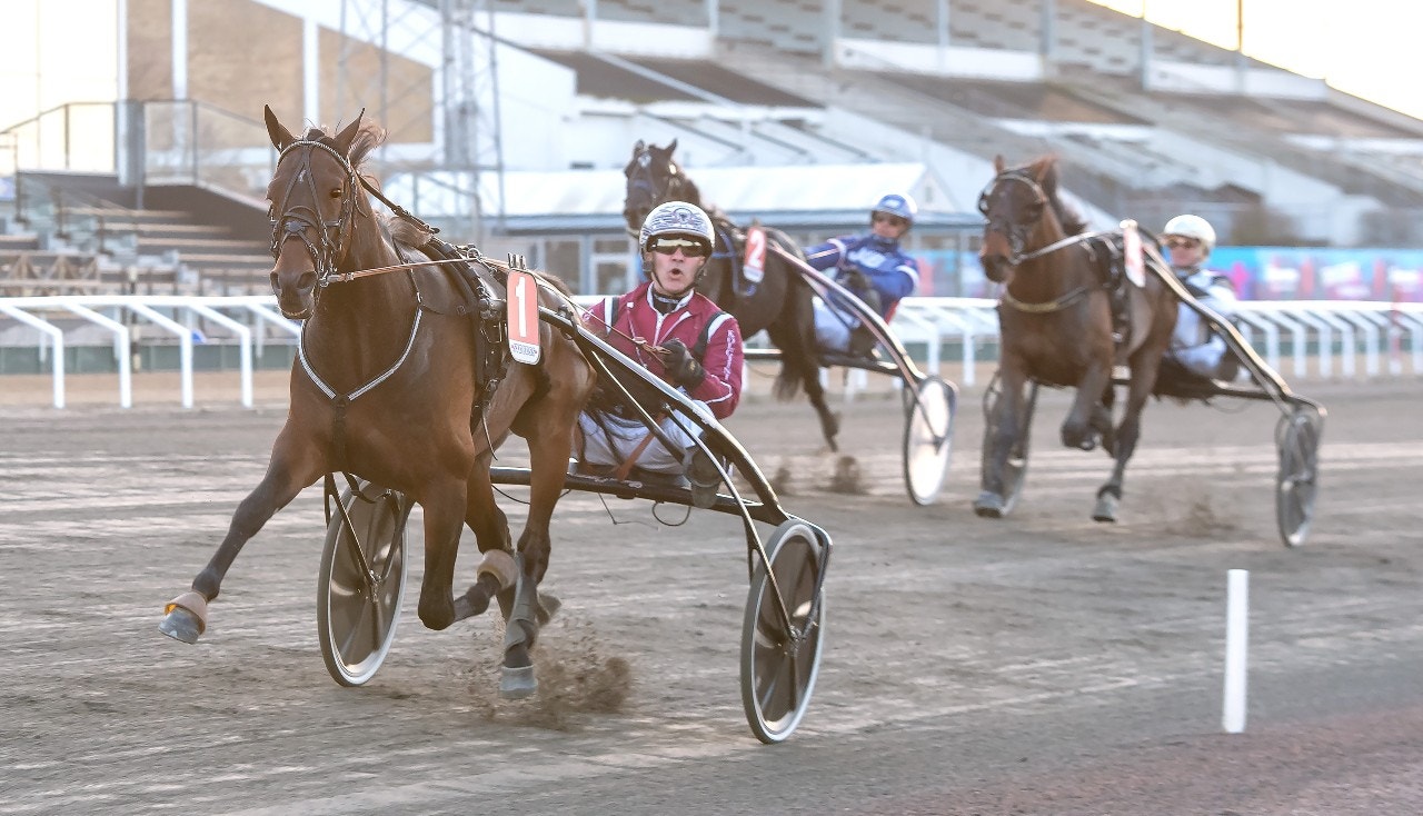 Starkt besked från Aquarius Face - Kolgjinis treåringar glänste