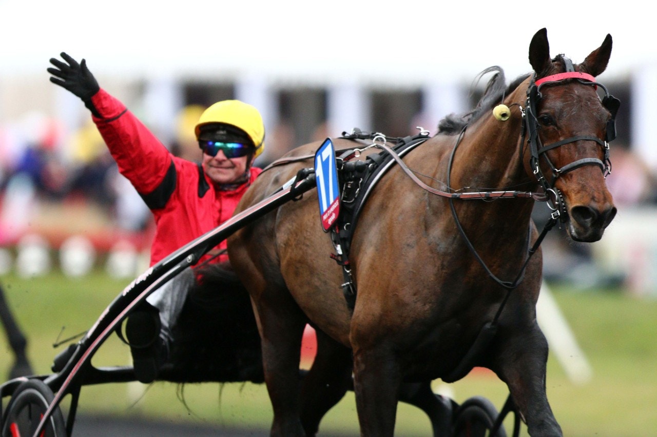 Bold Eagle-bror till salu