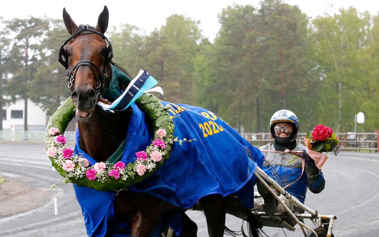Handsome Brad toppar i jakten på STL Open-platser. Foto: Hanold, ALN