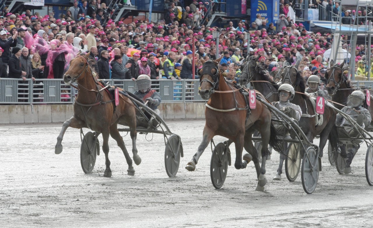 Dijon vann Elitloppet i dåligt trav - menar Solvallas domare. Foto: ALN