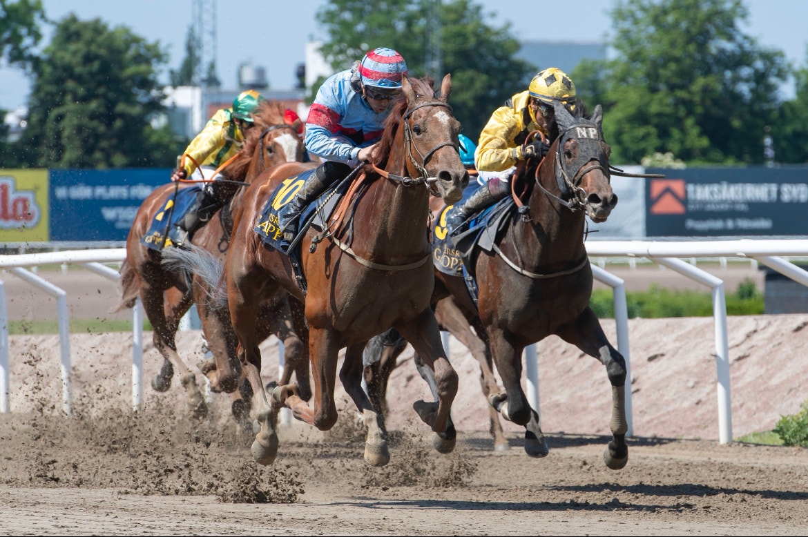 Schamyl (jockey Sandro de Paiva i ljusblått och rött) är högst rankad i Svenskt Derby med 86 i handicap och tillhör Högkvarterets A-grupp. Foto: Stefan Olsson / Svensk Galopp