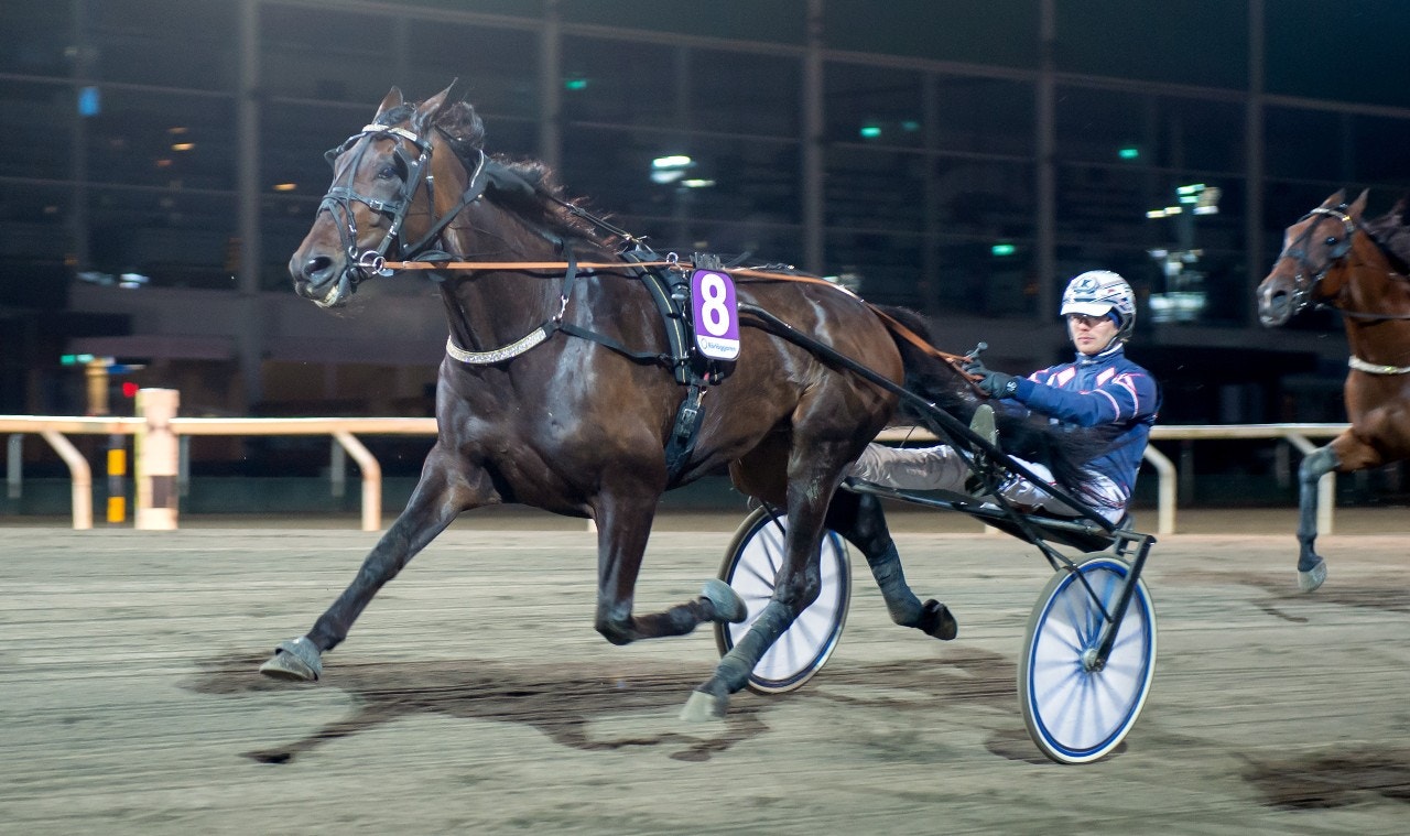 Franklin Face är draget i Silverdivisionen. Foto: Mikael Rosenquist, ALN