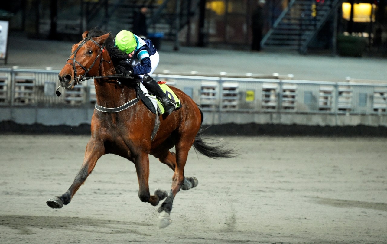 Power Memphis vid segern på Solvalla. Foto: Martin Langels, ALN