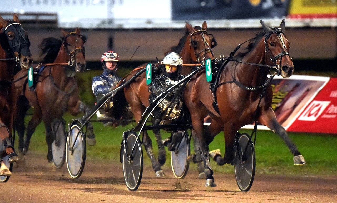 Vintervila för Hail Mary