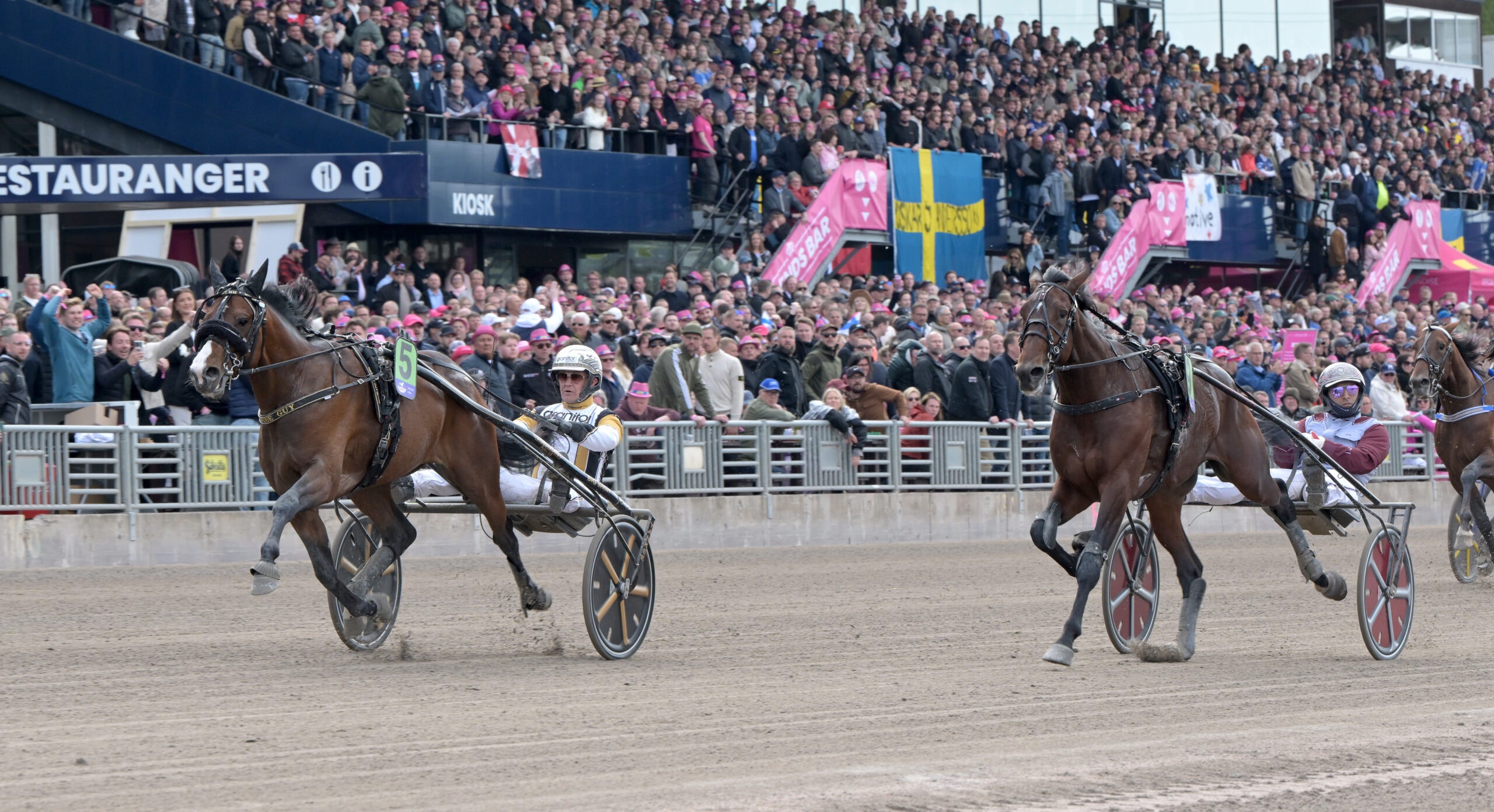 Foto: Lars Jakobsson, TR Bild