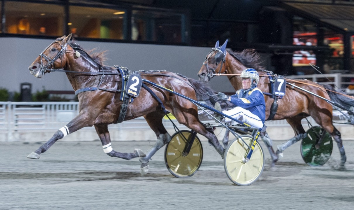 Evaluate vid en seger på Solvalla. Foto: Tommy Andersson, ALN