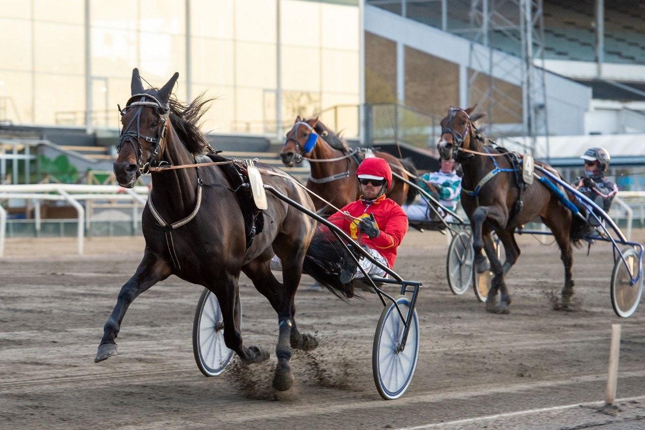 Jägersro: Franklin Face löpsugen i ledningen