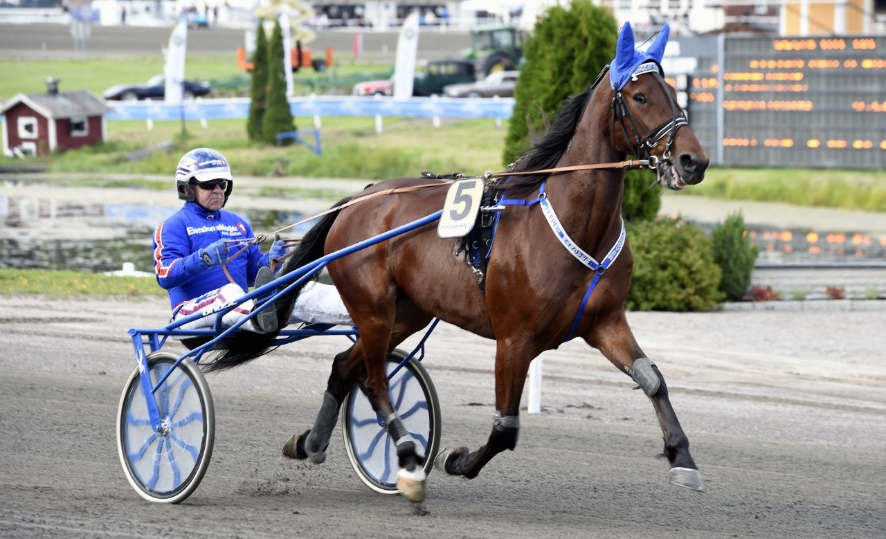 Jägersro/Solvalla 13 november: Longcat Hanover intressant