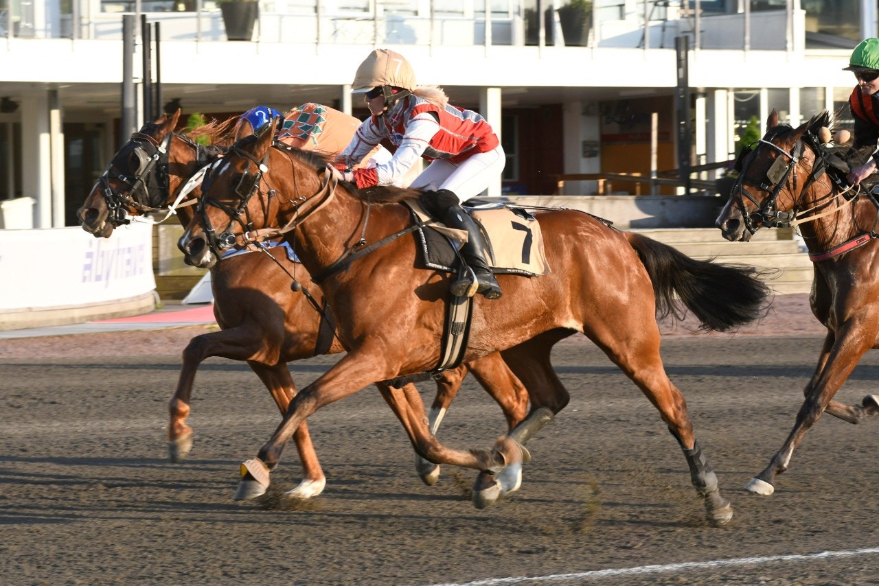 Åby: Ny succé för Hambo - tog trofén på svenskt rekord