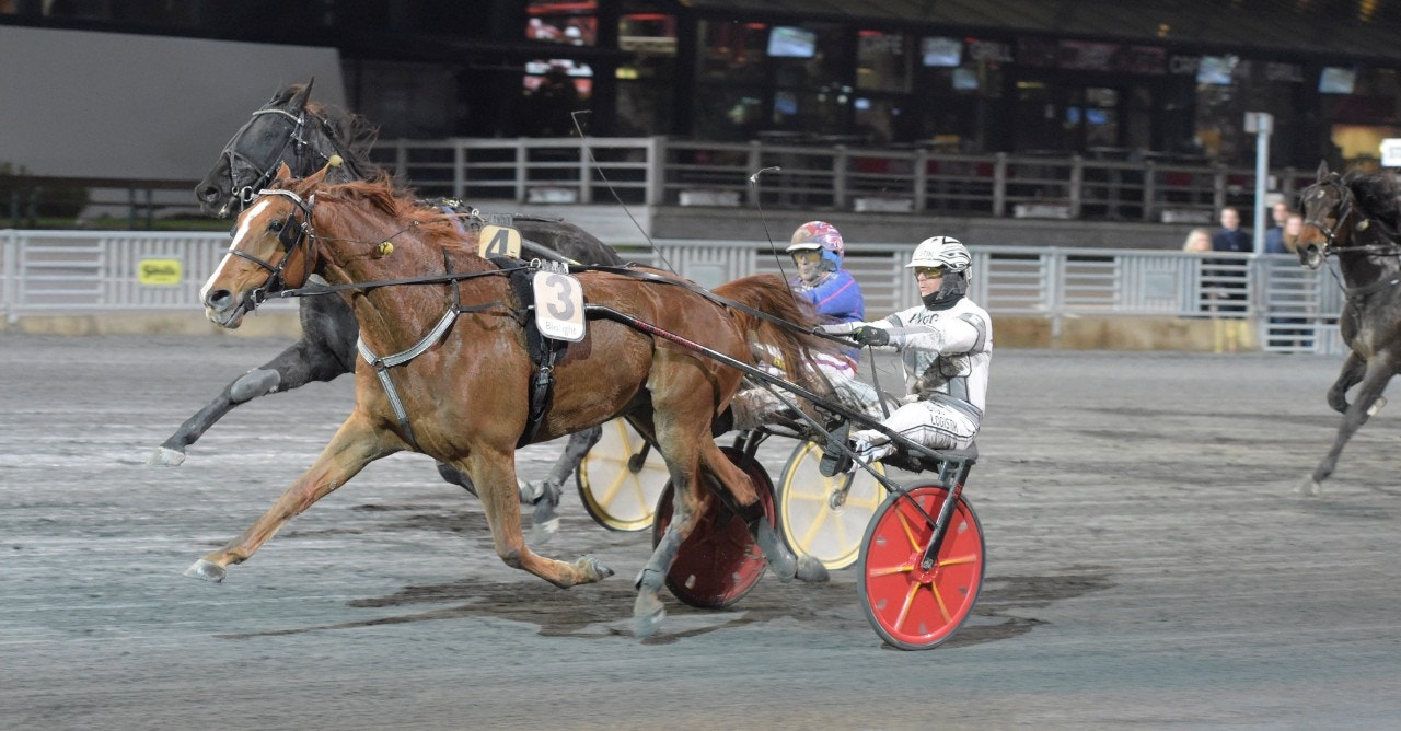 Star Advisor Joli vann "gamlingarnas kamp"