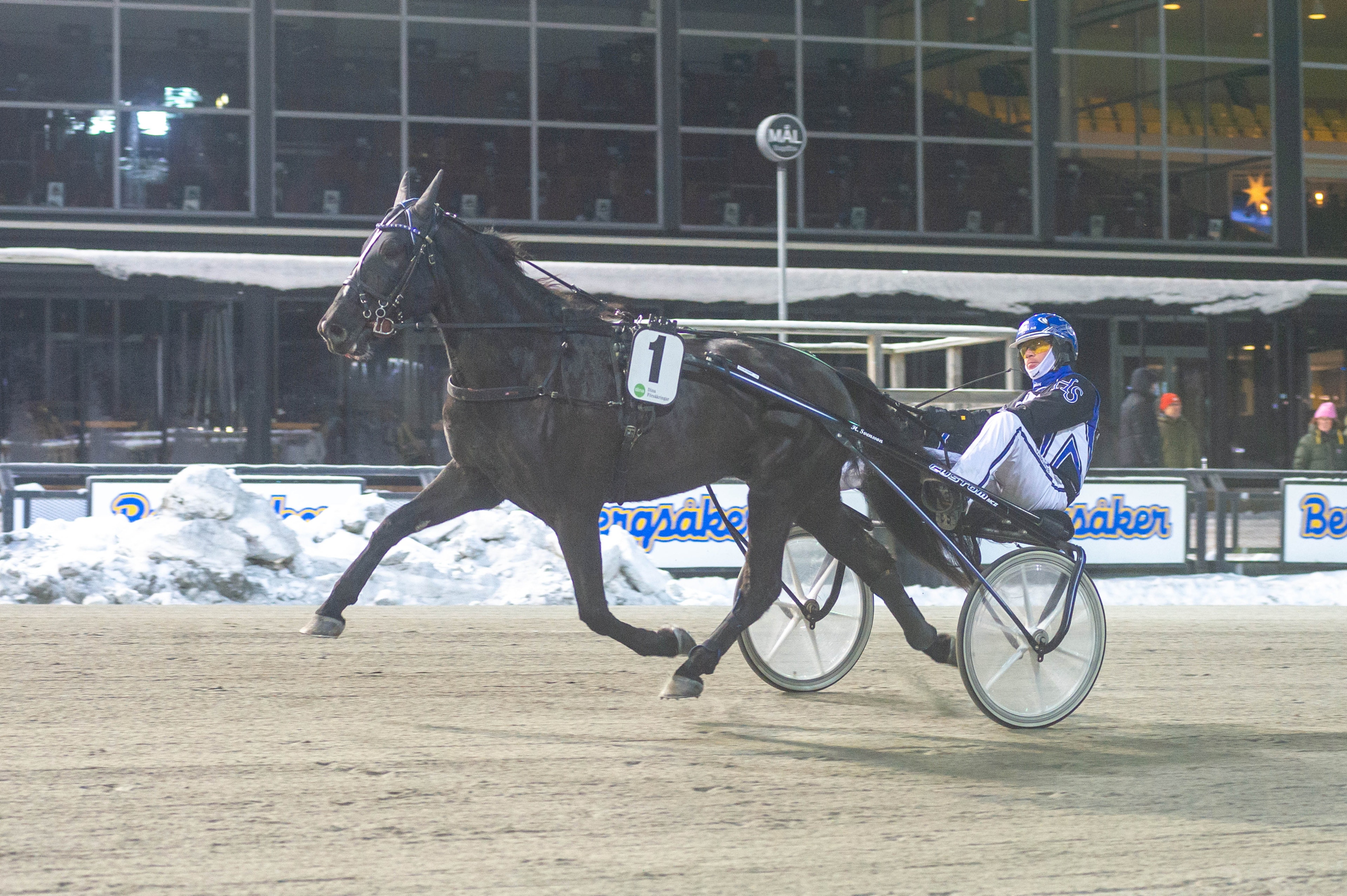 Inför V75: Favoritkollen Svarte Petter