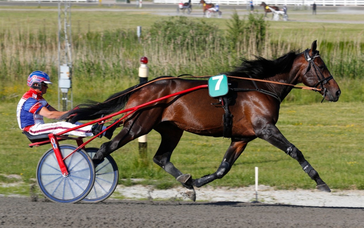 Kan Ferrari B.R. upprepa sin fjolårsseger i NM? Foto: Hanold, ALN