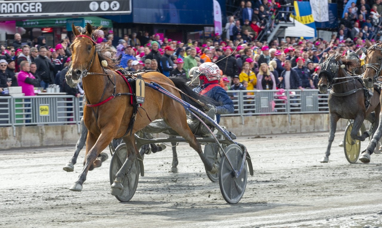 Aubrion du Gers ser ut att ha sina nästa starter på Enghien. Foto: ALN