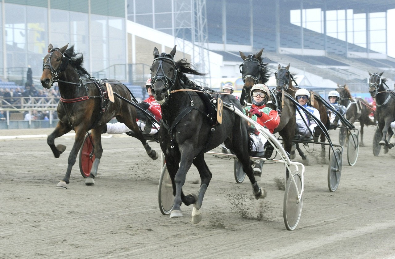 Bandit Brick byter regi igen - till Bazire