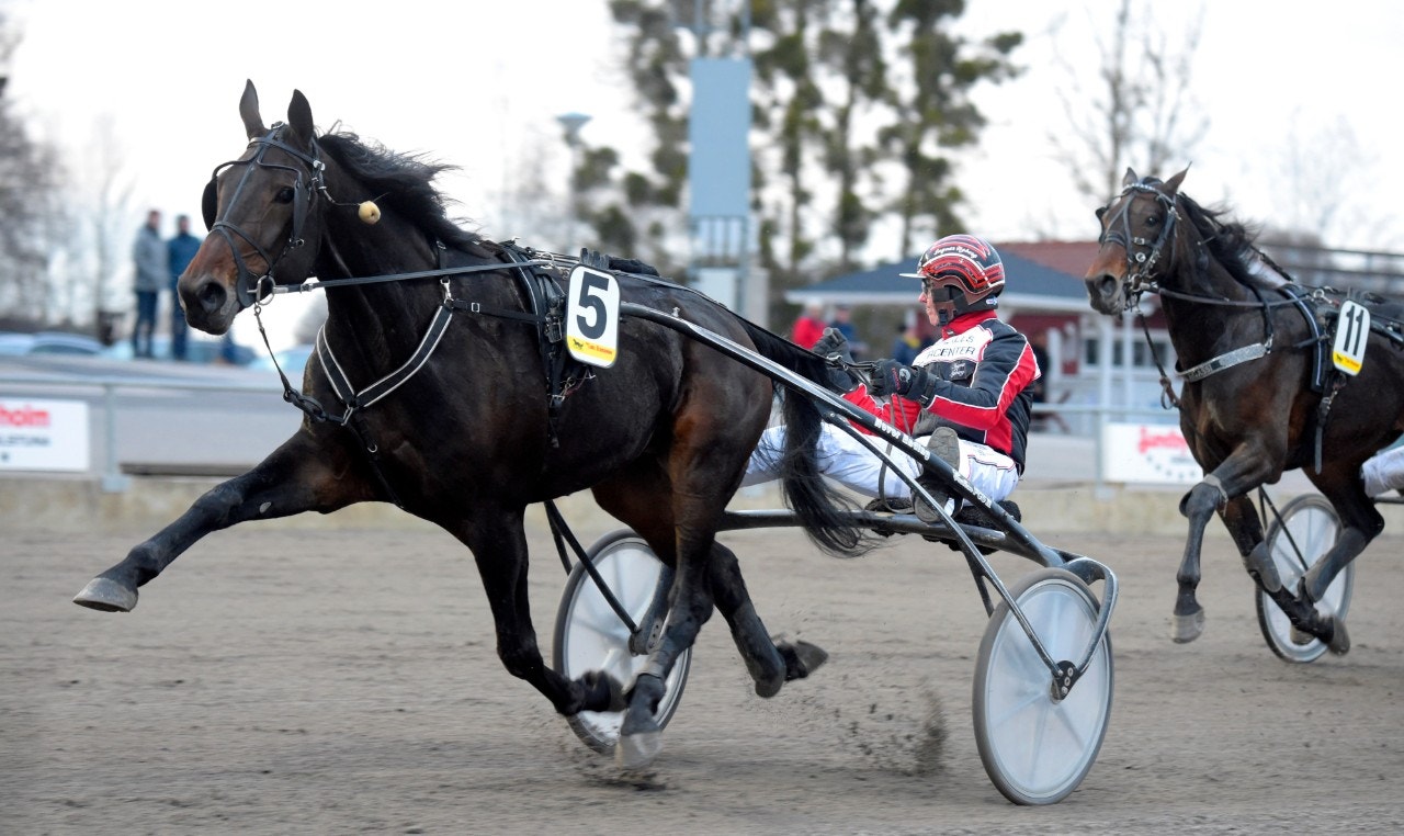 Gävle 10 mars: Trist strykning i ett lopp där vinnaren har rätta Sisun