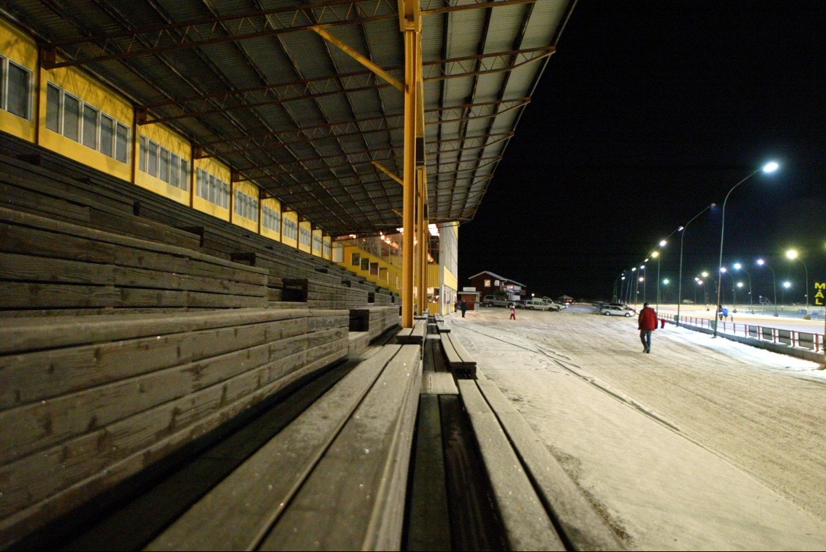 Hingstpriser och knepiga träningslistor hos svenska tränare