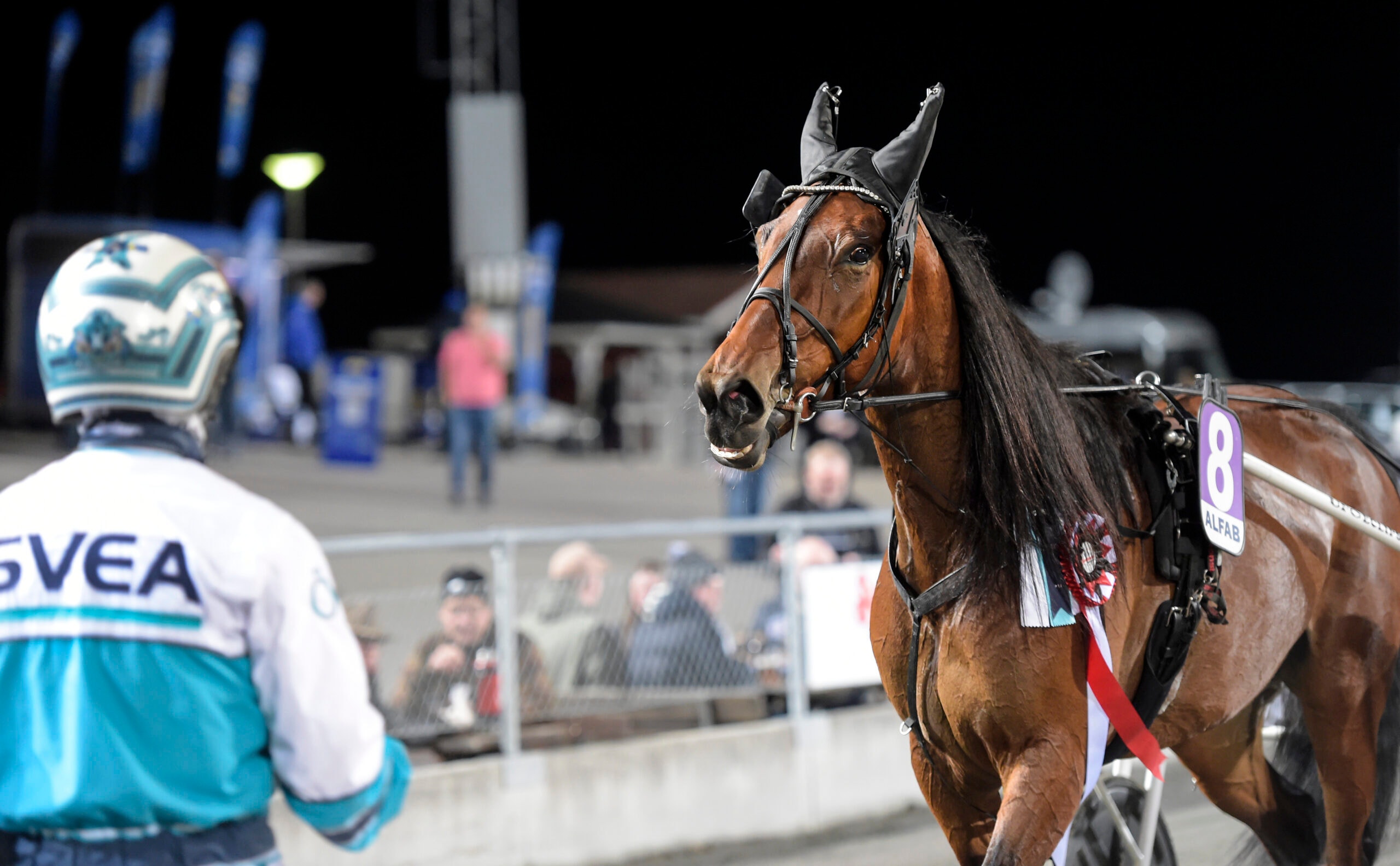 Foto: Lars Jakobsson, TR Bild